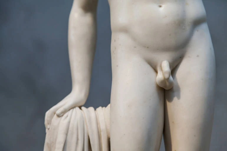Détail d’une sculpture masculine en marbre, utilisé comme illustration du dossier sur le prépuce.